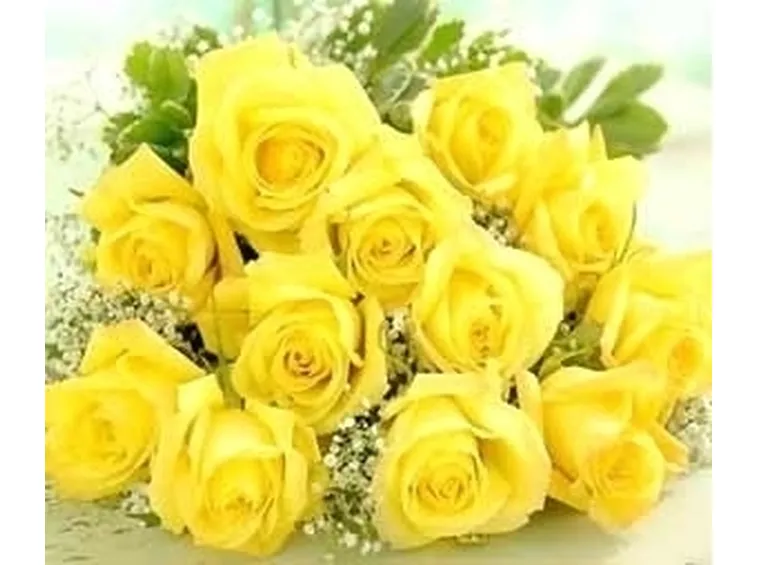 significato del colore delle rose