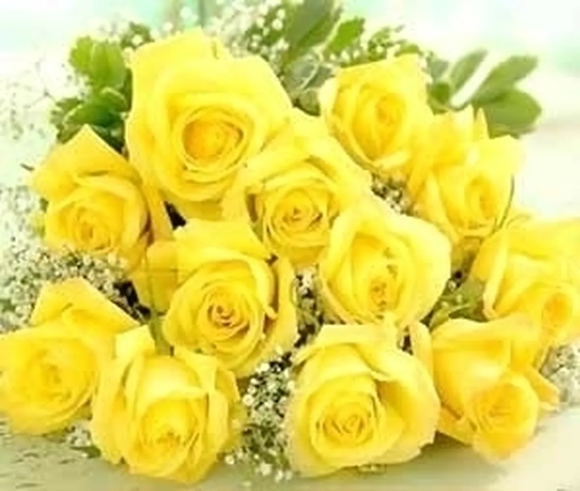 significato del colore delle rose
