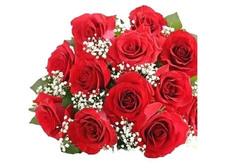 significato della rosa viola