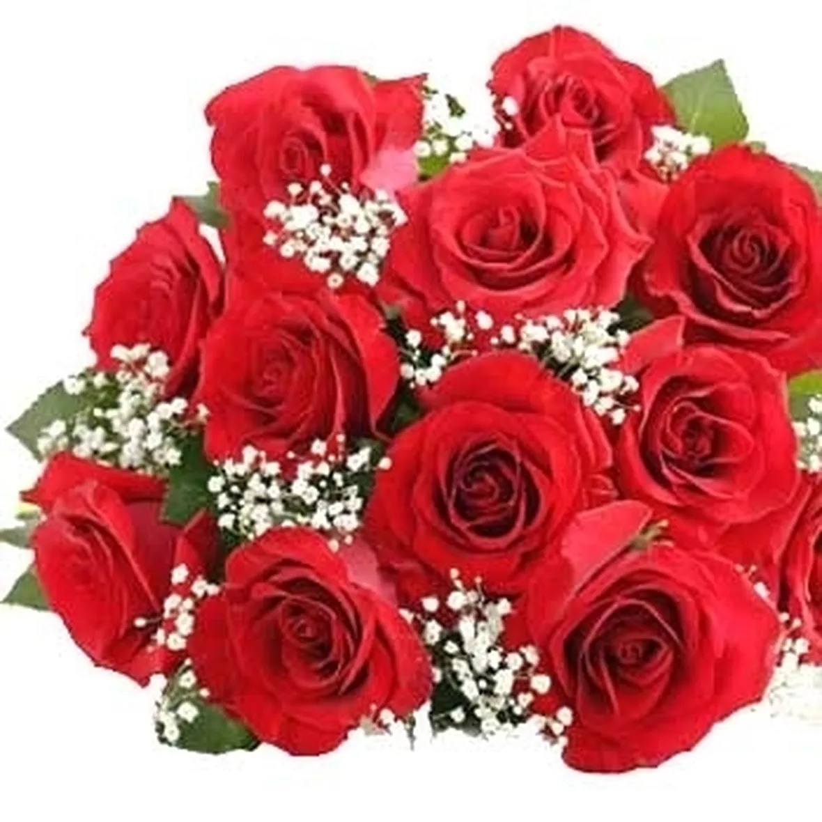 significato della rosa viola