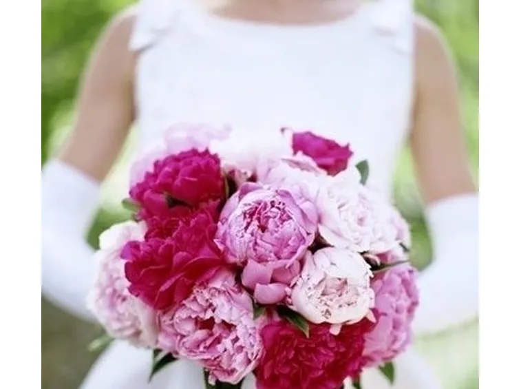 significato delle peonie-2