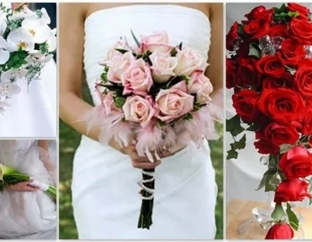 significato delle rose-9