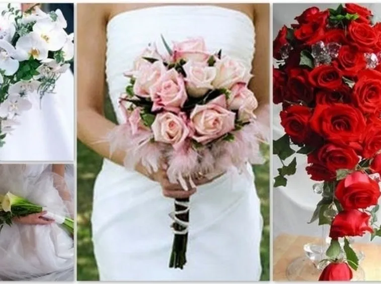 significato delle rose-9