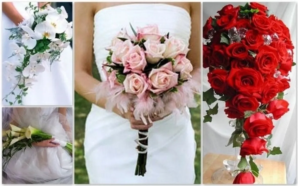 significato delle rose-9