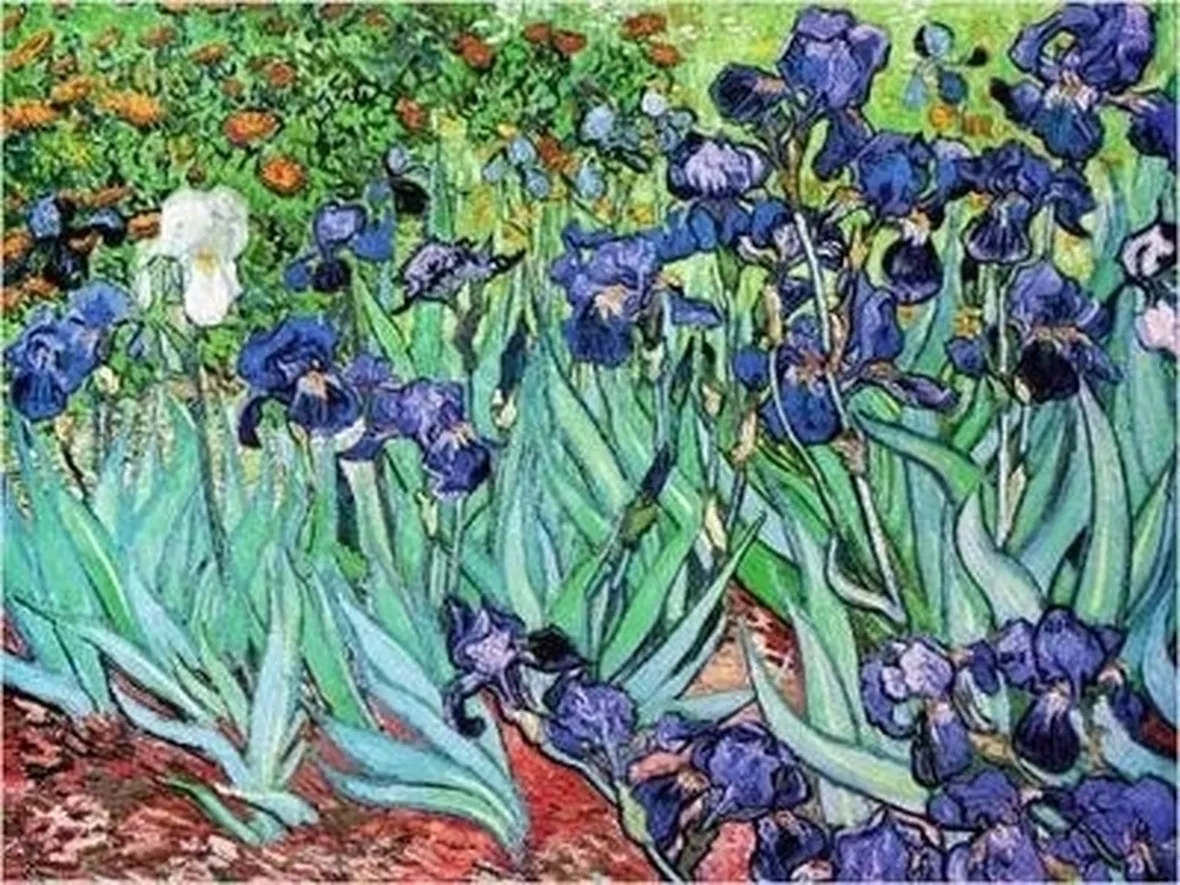 significato dell'iris-9