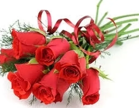 significato numero rose