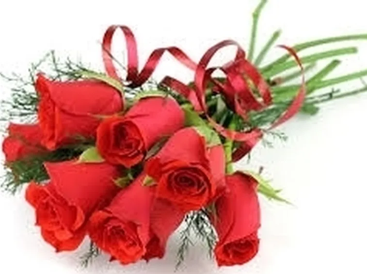 significato numero rose