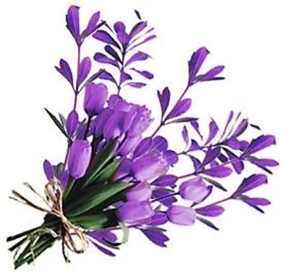Viola mammola per arredo terrazzo
