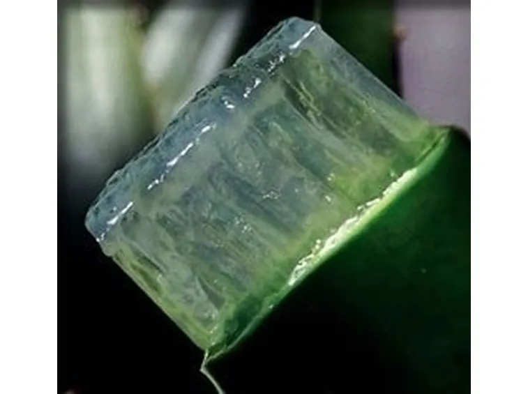 aloe cura-8