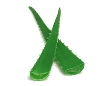 cura aloe-2