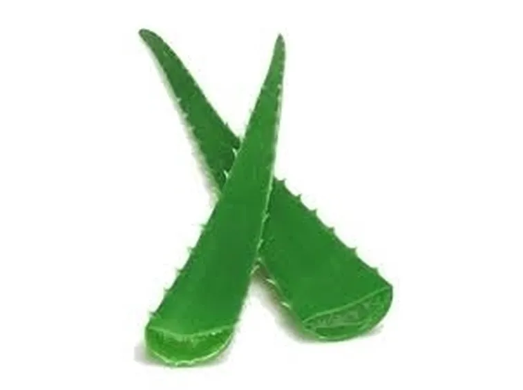 cura aloe-2