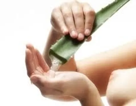 cura aloe-6