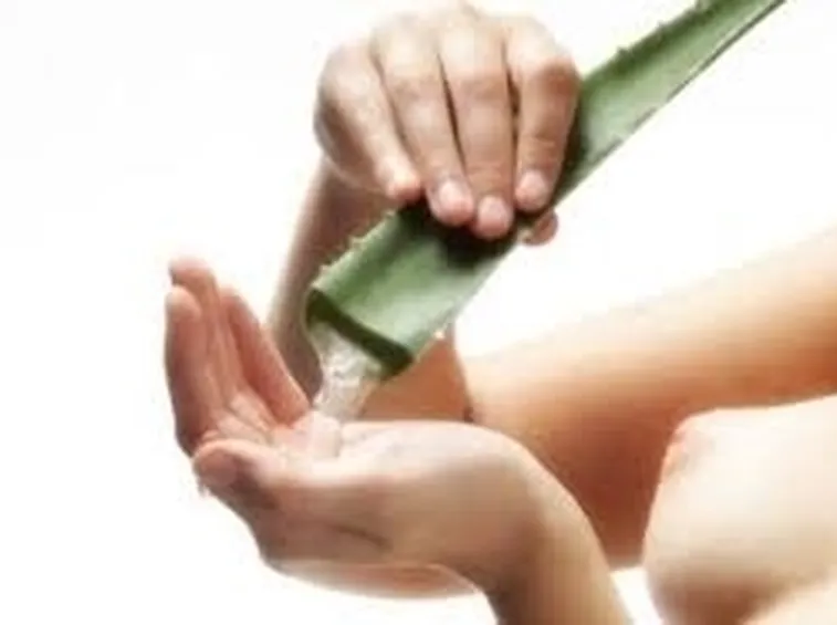 cura aloe-6