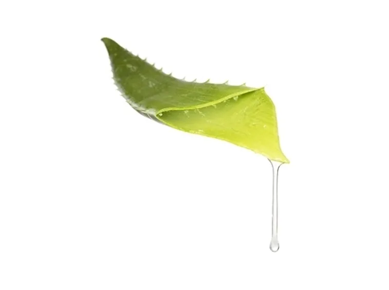 proprietà aloe