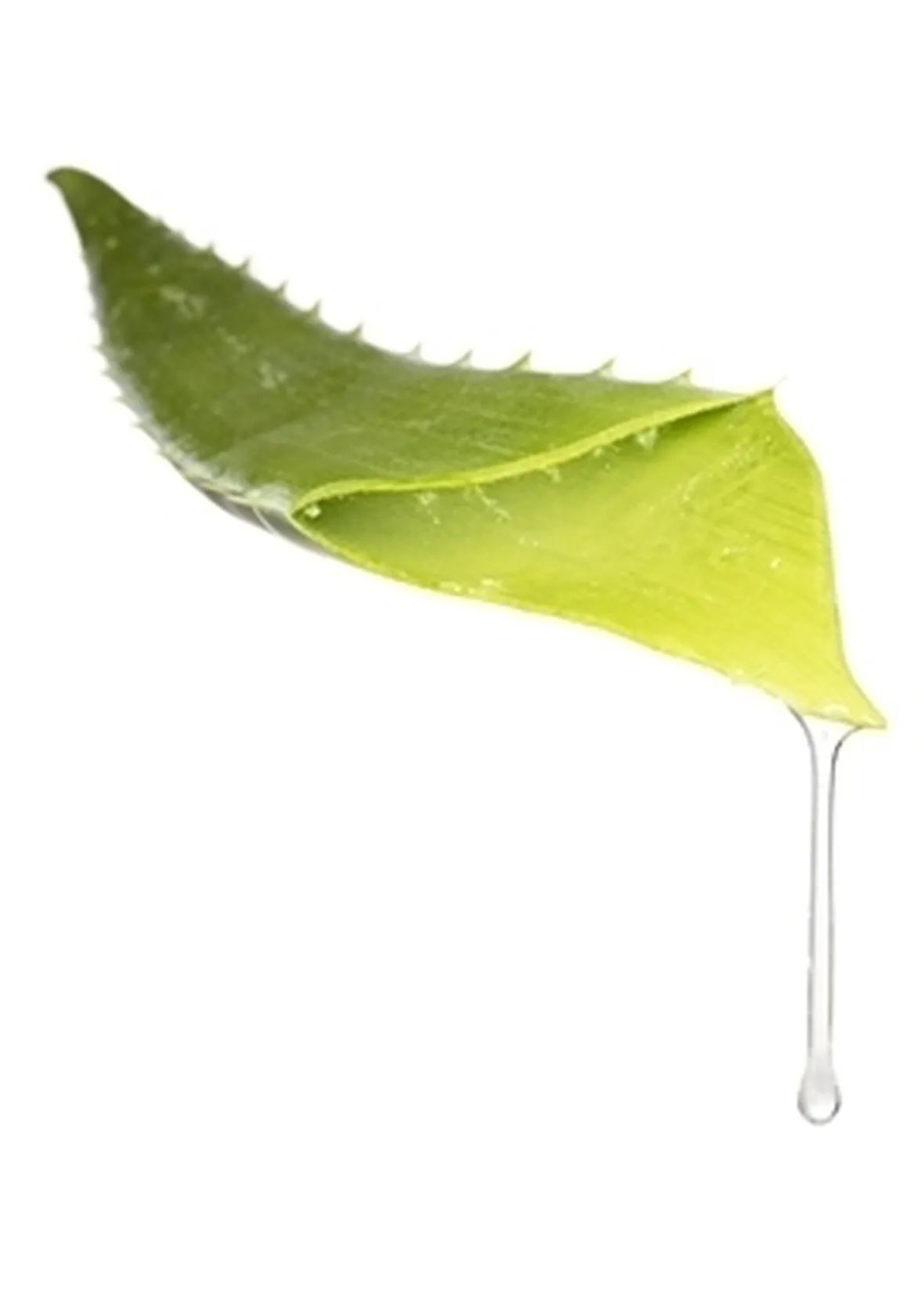 proprietà aloe