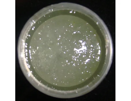 succo aloe-5
