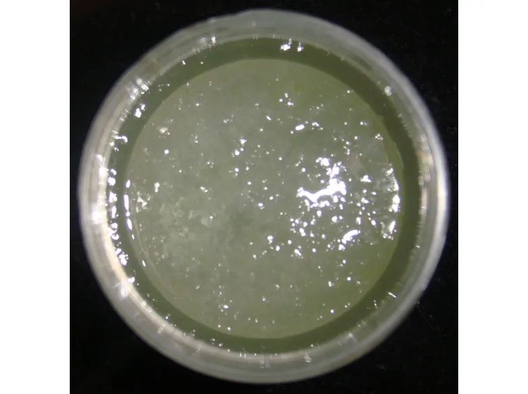 succo aloe-5
