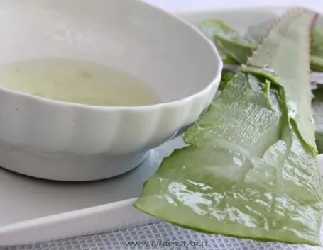 succo aloe-6