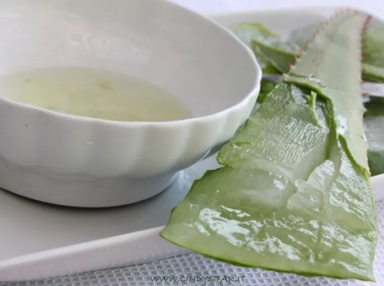 succo aloe-6