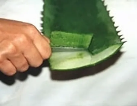 succo aloe-7