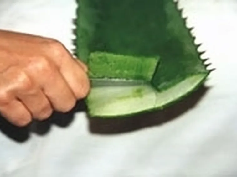 succo aloe-7