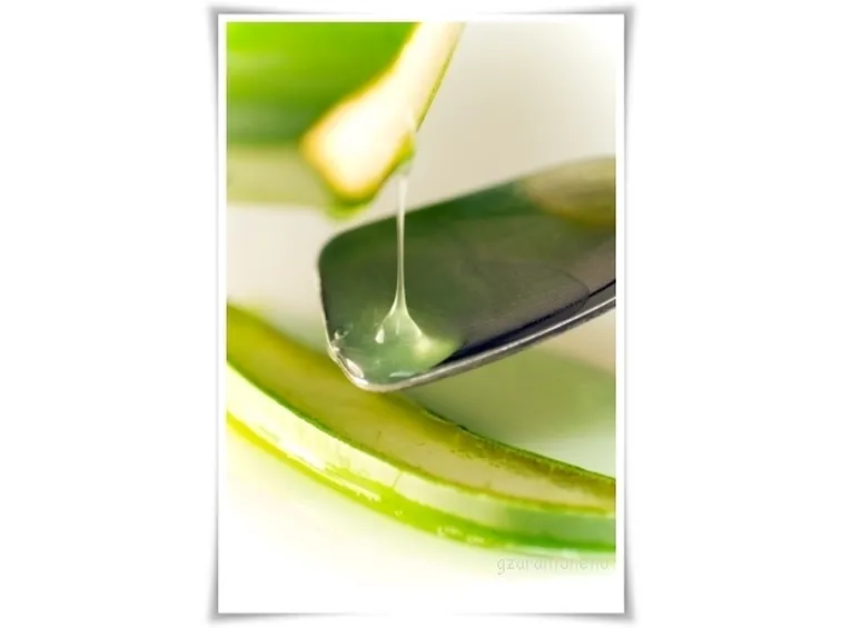 succo aloe-8