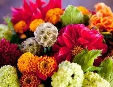 Domanda : fiori per matrimonio