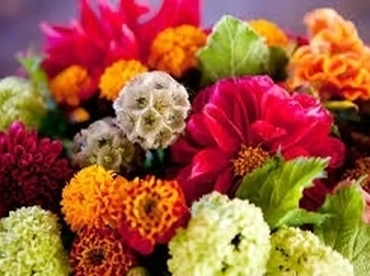 Domanda : fiori per matrimonio