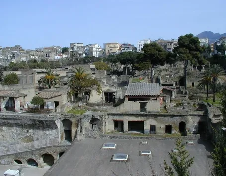 fiori a domicilio Ercolano