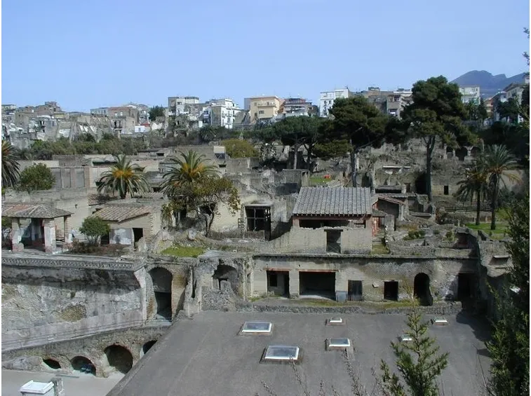 fiori a domicilio Ercolano