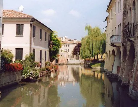 fiori a domicilio Treviso