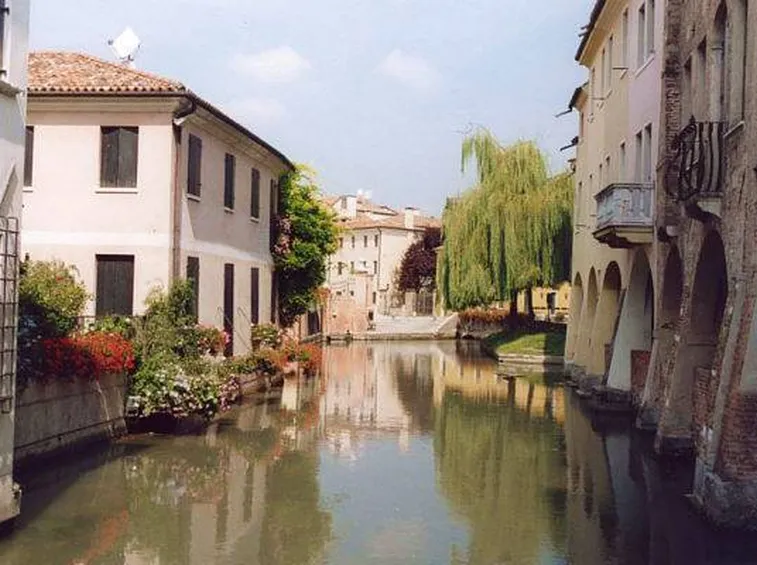 fiori a domicilio Treviso