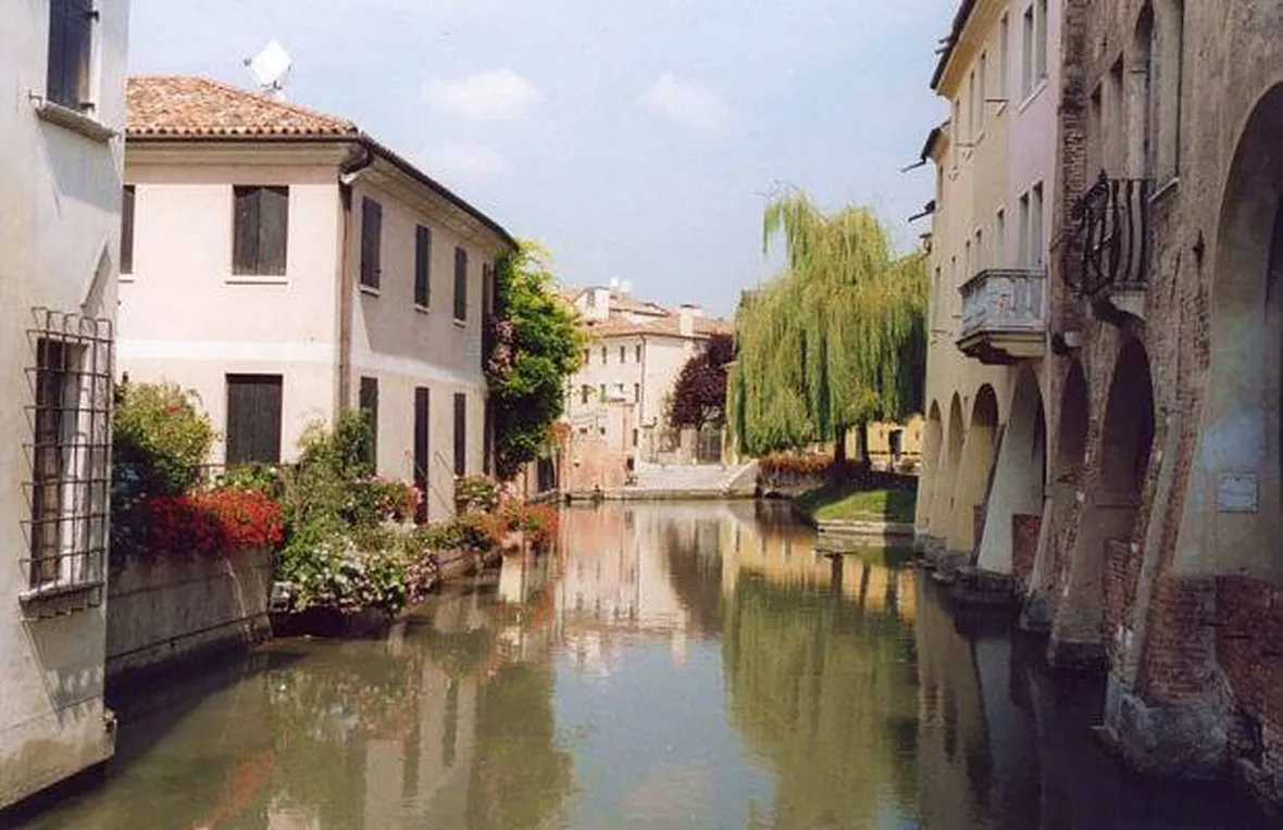 fiori a domicilio Treviso