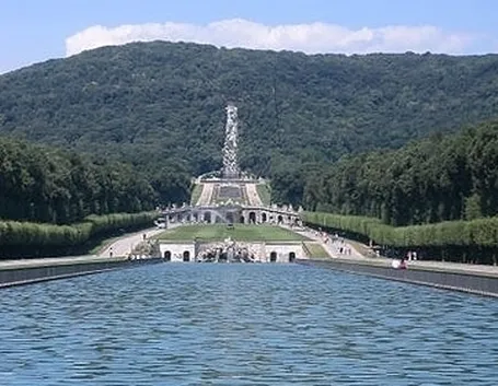 fiori Caserta