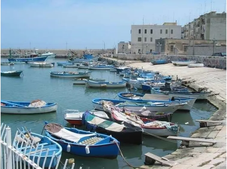 fiori di Bisceglie