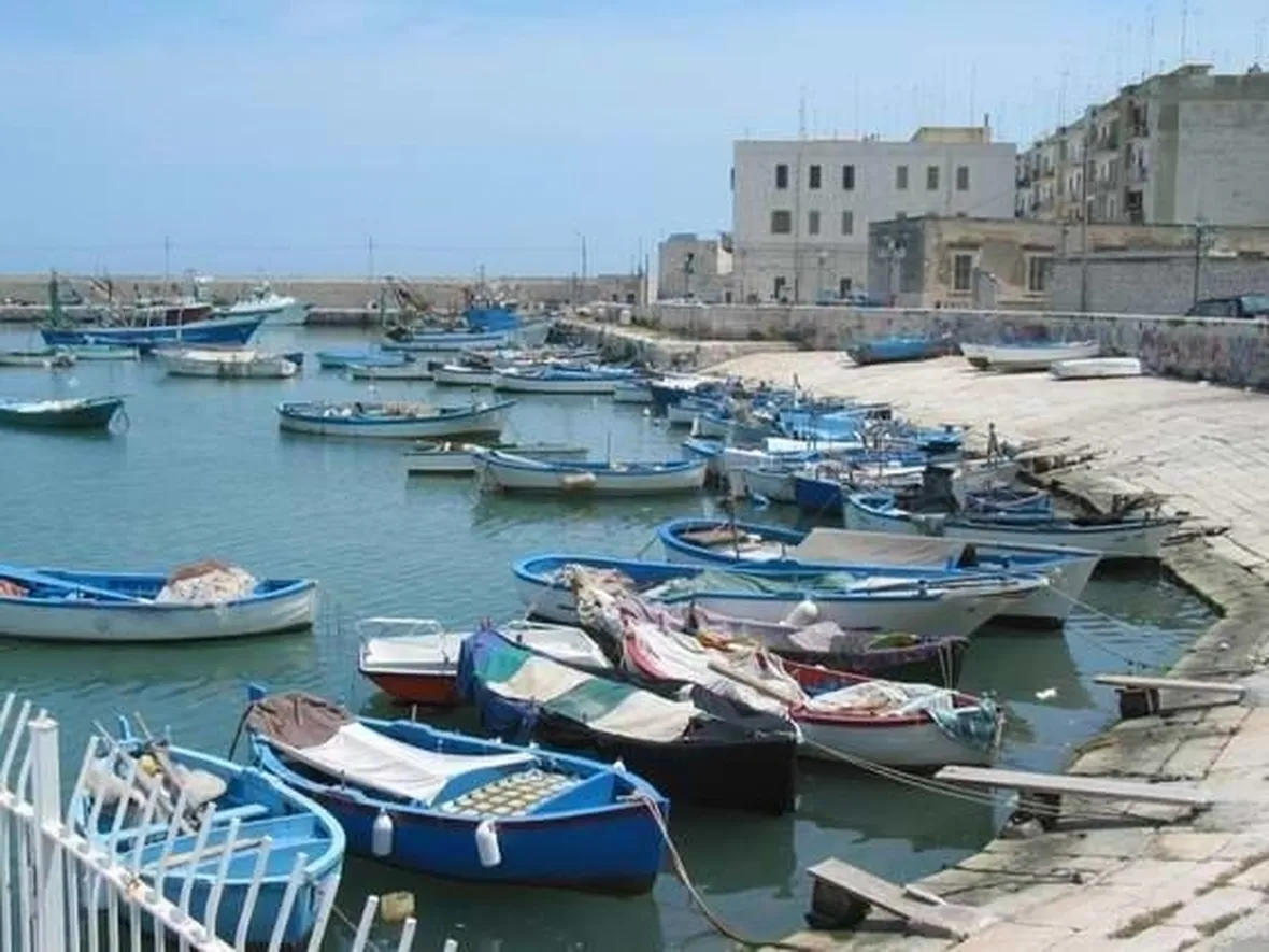 fiori di Bisceglie