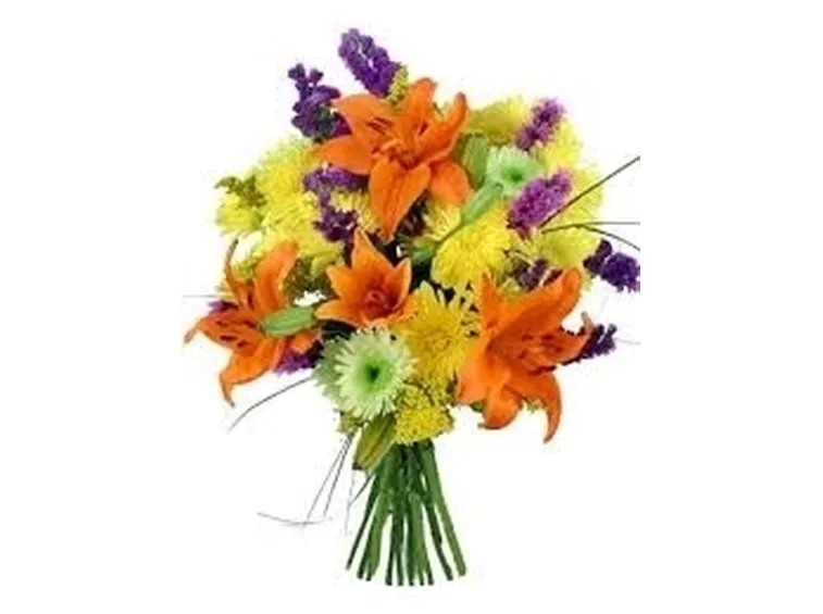fiori di Pesaro