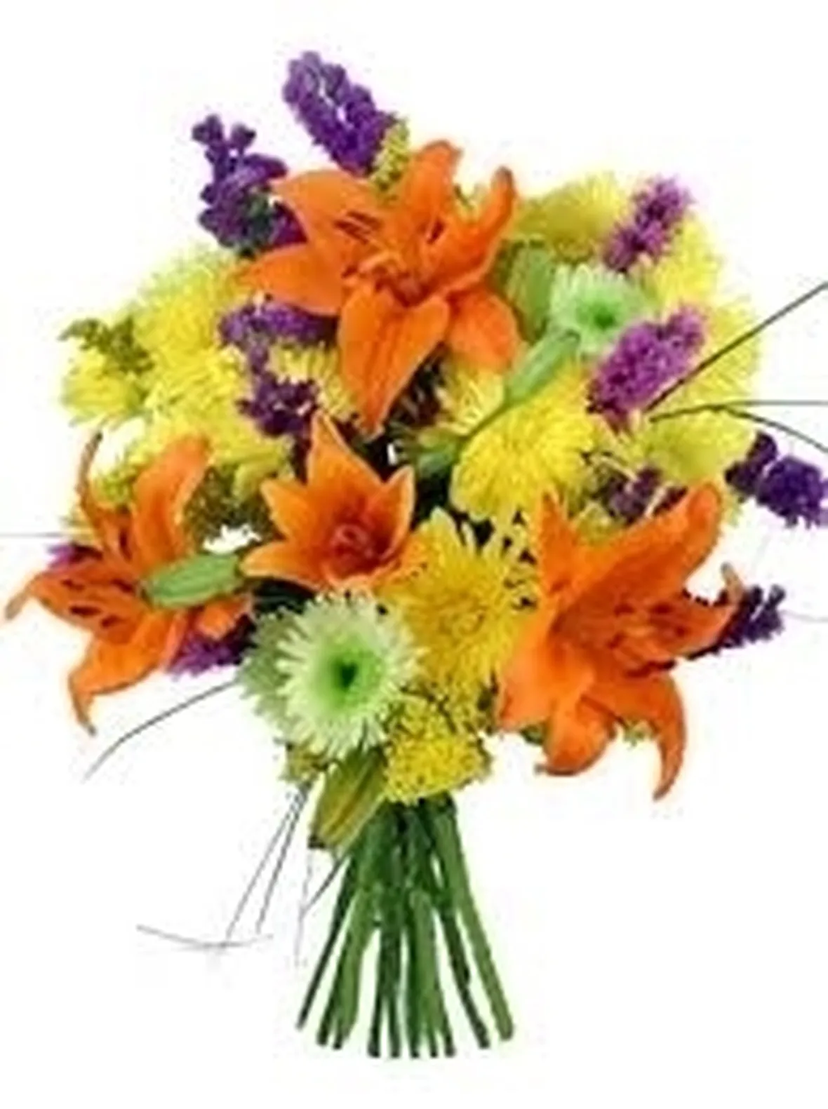 fiori di Pesaro