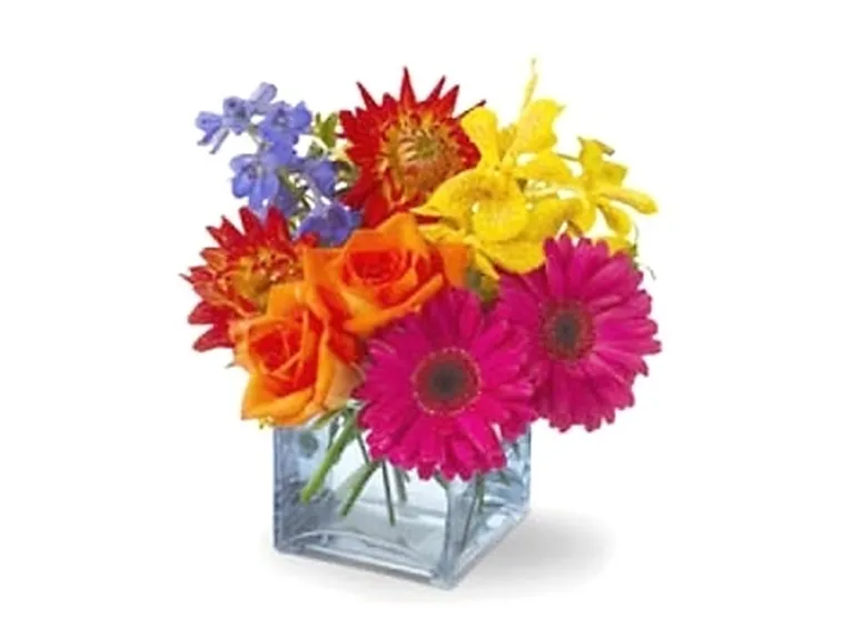 fiori di Pistoia