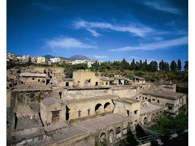 fiori Ercolano