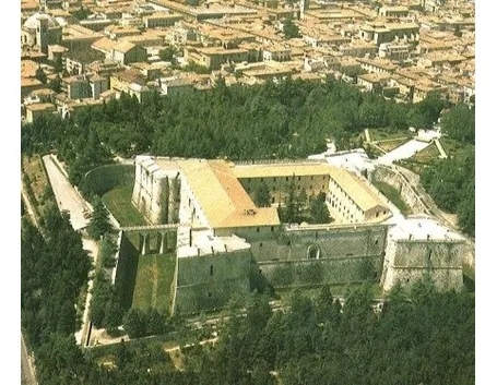 fiori L-Aquila