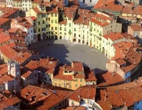 fiori Lucca