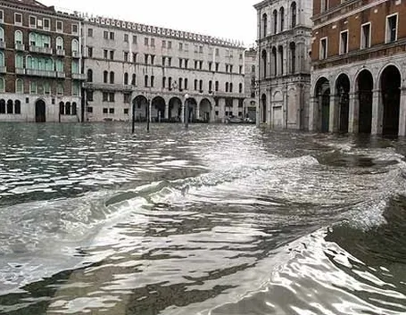 fiori online Venezia