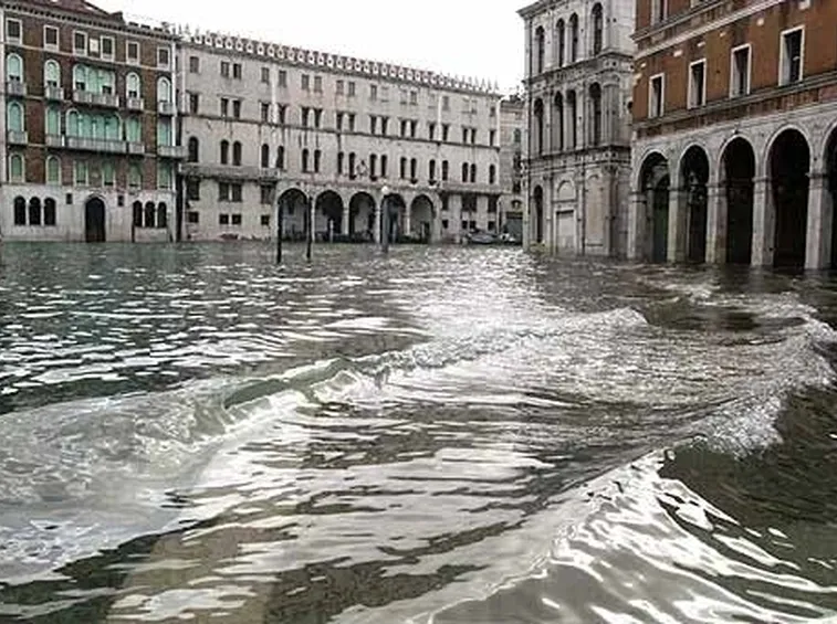 fiori online Venezia
