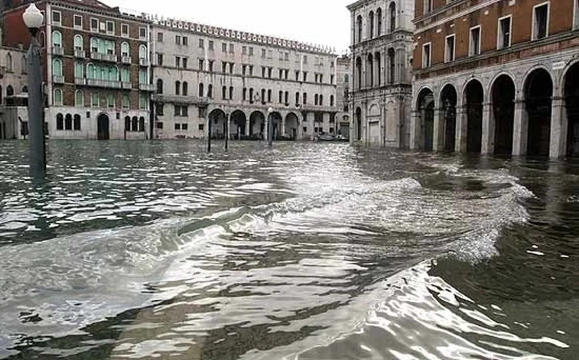 fiori online Venezia