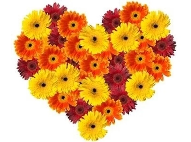 fiori per anniversari-2