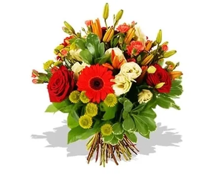 fiori per auguri-1