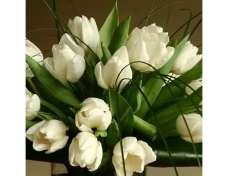 fiori per compleanno