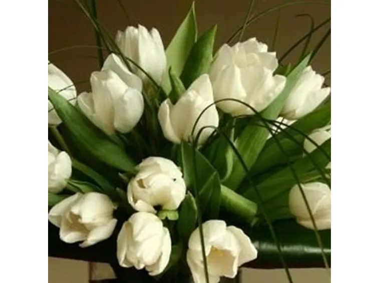 fiori per compleanno