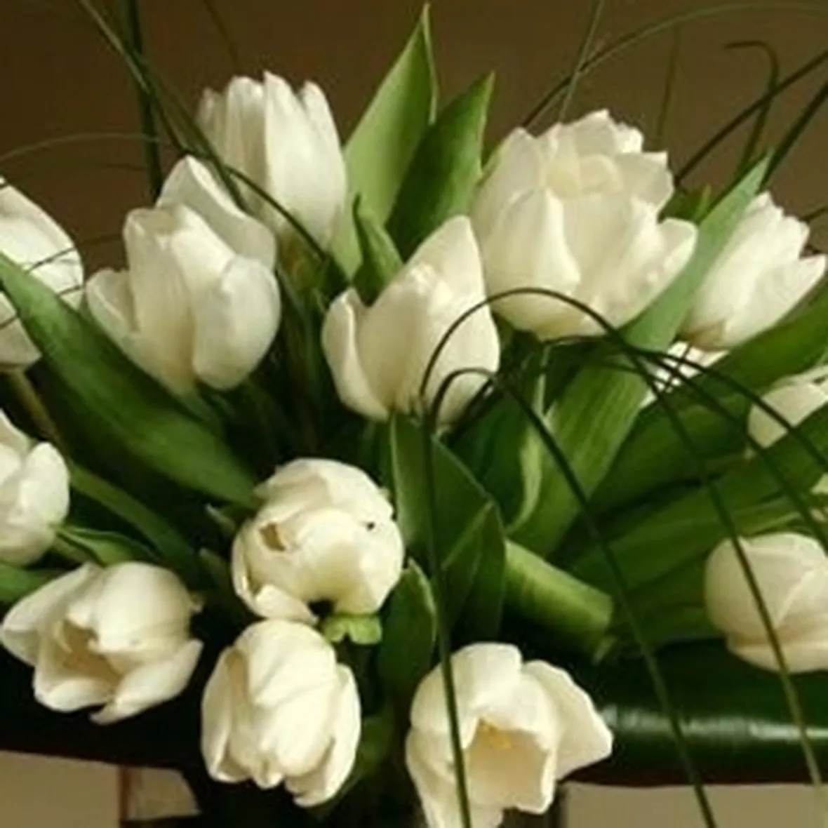 fiori per compleanno